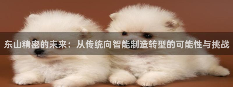 彩神平台之间是什么关系：东山精密的未来：从传统向智能制造转型的可能性与挑战
