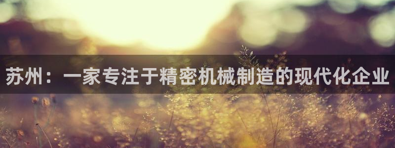 彩神vⅲ下载安装：苏州：一家专注于精密机械制造的现代化企业