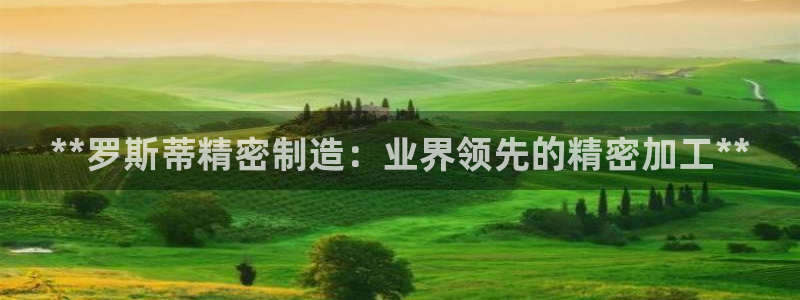 彩神是真的吗：**罗斯蒂精密制造：业界领先的精密加工**