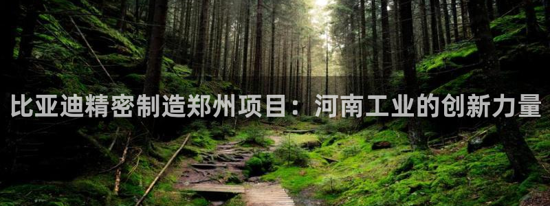 彩神购彩-购彩大厅入口娱乐首选：比亚迪精密制造郑州项目：河南工业的创新力量