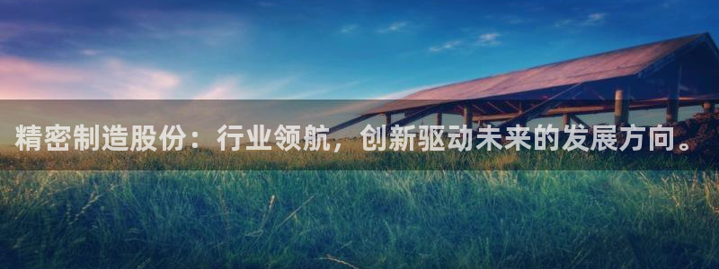 彩神v8平台正规吗知乎：精密制造股份：行业领航，创新驱动未来的发展方向。