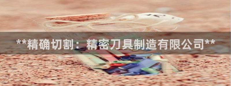 彩神VII官方版：**精确切割：精密刀具制造有限公司**