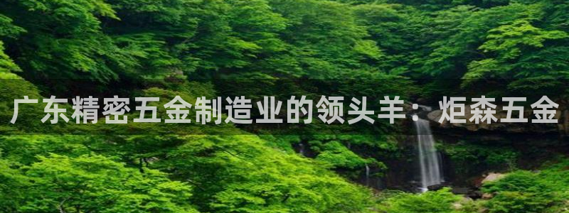 彩神v8客户端：广东精密五金制造业的领头羊：炬森五金