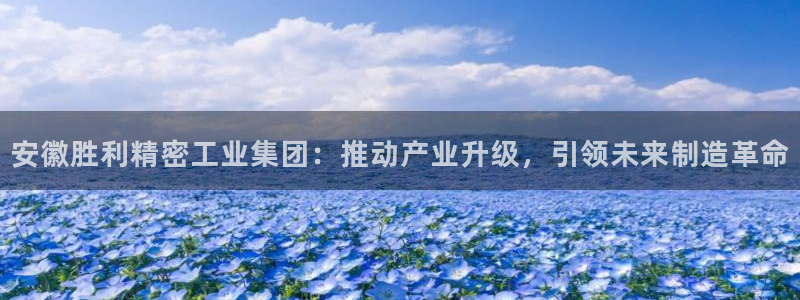下载彩神争霸谁与我争锋：安徽胜利精密工业集团：推动产业升级，引领未来制造革命