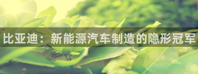 彩神的邀请码是多少：比亚迪：新能源汽车制造的隐形冠军