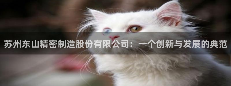 彩神VII购彩中心：