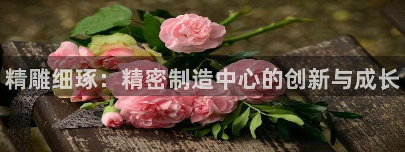 彩神平台注册登录：精雕细琢：精密制造中心的创新与成长