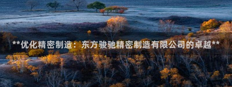 大发彩神最高邀请码：**优化精密制造：东方骏驰精密制造有限公司的卓越**