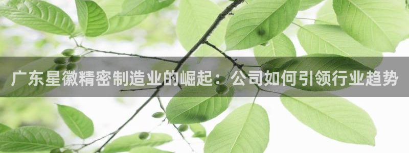 彩神v8客户端：广东星徽精密制造业的崛起：公司如何引领行业趋势