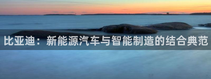 彩神大发官网：比亚迪：新能源汽车与智能制造的结合典范