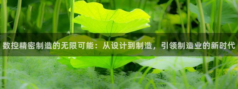 彩神v8官网版：数控精密制造的无限可能：从设计到制造，引领制造业的新时代