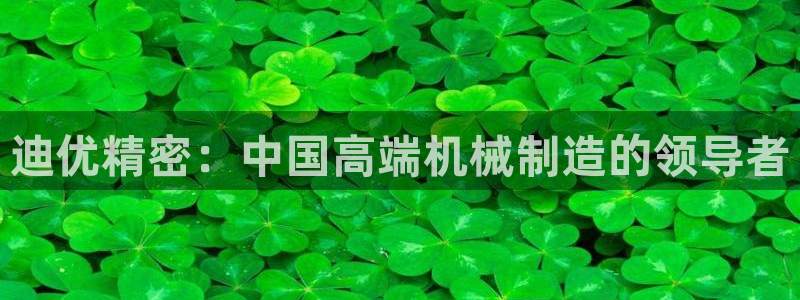 彩神旗下有哪些平台：迪优精密：中国高端机械制造的领导者