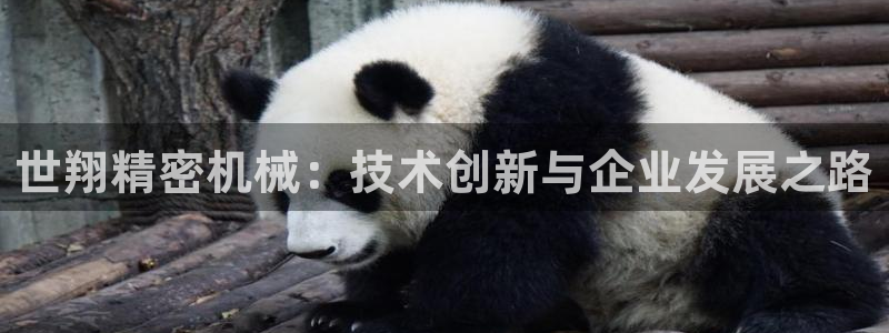彩神v8iii：世翔精密机械：技术创新与企业发展之路