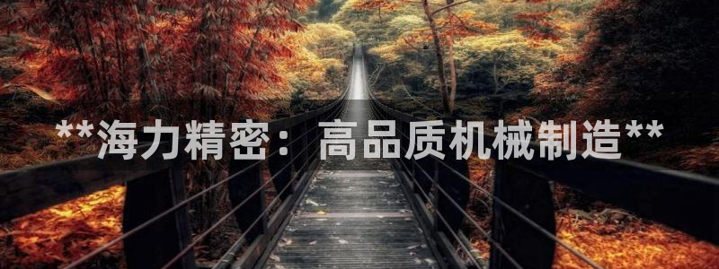 彩神v平台：**海力精密：高品质机械制造**