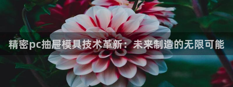 彩神vll官网在线登录：精密pc抽屉模具技术革新：未来制造的无限可能