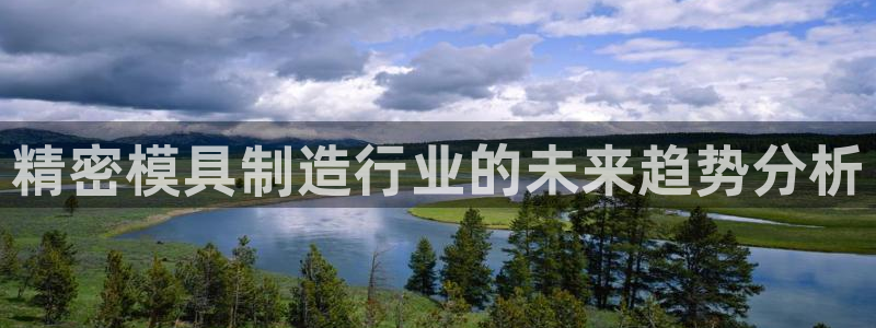 下载彩神通关注金码：精密模具制造行业的未来趋势分析