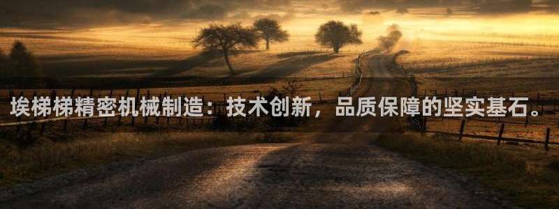 彩神xapp官方网站：埃梯梯精密机械制造：技术创新，品质保障的坚实基石。