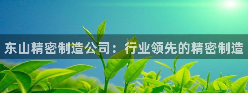彩神平台可以破解吗：东山精密制造公司：行业领先的精密制造