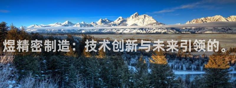 彩神v8购彩大厅登：煜精密制造：技术创新与未来引领的。