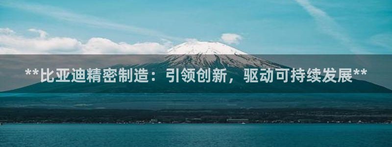 彩神v8手机客户端在哪：**比亚迪精密制造：引领创新，驱动可持续发展**