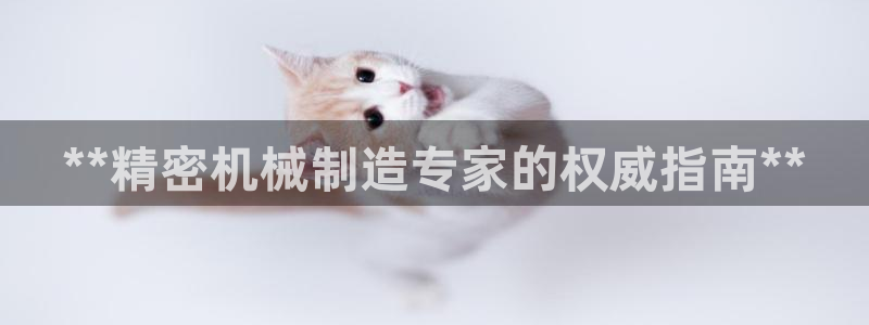 彩神V购彩大厅：**精密机械制造专家的权威指南**