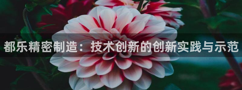 彩神v8app：都乐精密制造：技术创新的创新实践与示范