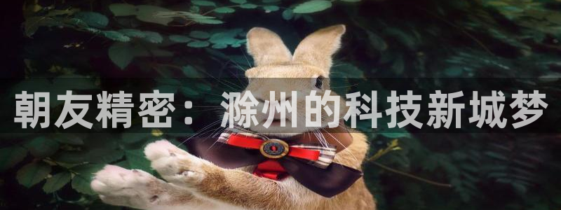 彩神vii官网大赢家：朝友精密：滁州的科技新城梦