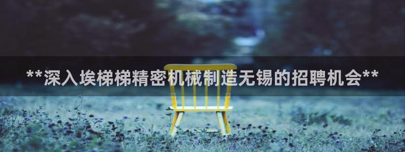彩神争霸老平台：**深入埃梯梯精密机械制造无锡的招聘机会**