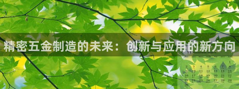 彩神vll购彩大厅：精密五金制造的未来：创新与应用的新方向
