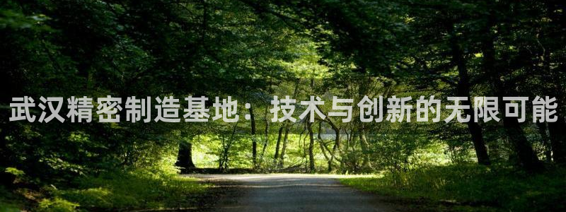 彩神赢钱了吗：武汉精密制造基地：技术与创新的无限可能