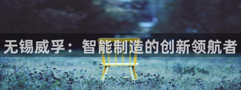 彩神v秘聊号码：无锡威孚：智能制造的创新领航者