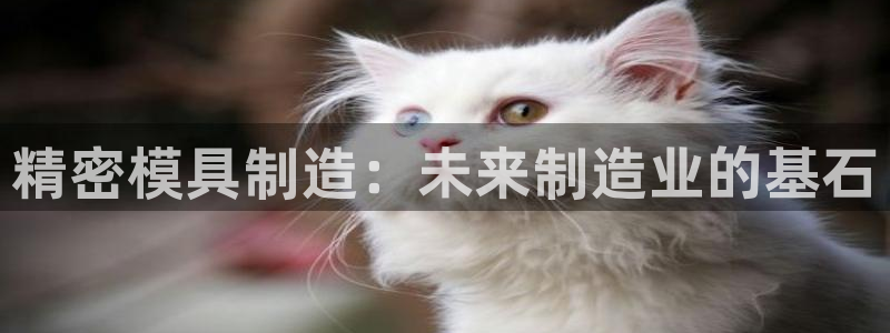 彩神viii是正规平台吗?：精密模具制造：未来制造业的基石