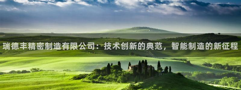 彩神平台：瑞德丰精密制造有限公司：技术创新的典范，智能制造的新征程