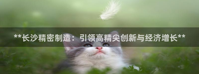 彩神ix官网：**长沙精密制造：引领高精尖创新与经济增长**